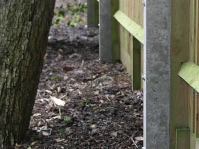 Fence Repairs 1